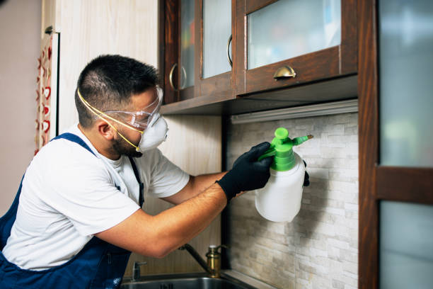 Best Mosquito Control Services  in Yuba City, CA
