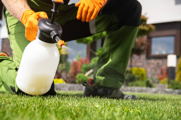 Bird Control in Yuba City, CA