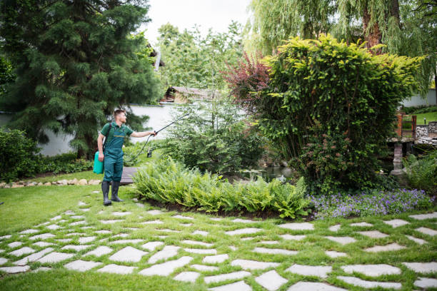 Best Pest Prevention Services  in Yuba City, CA