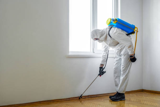 Best Affordable Pest Control Services  in Yuba City, CA