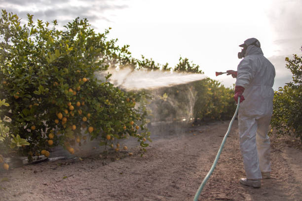Best Mosquito Control Services  in Yuba City, CA