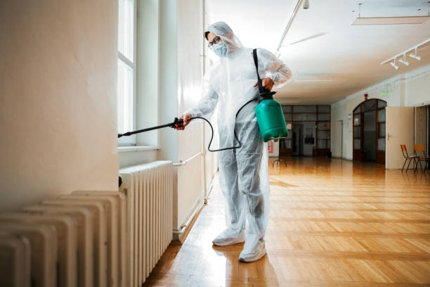 Best Flea Control Services  in Yuba City, CA